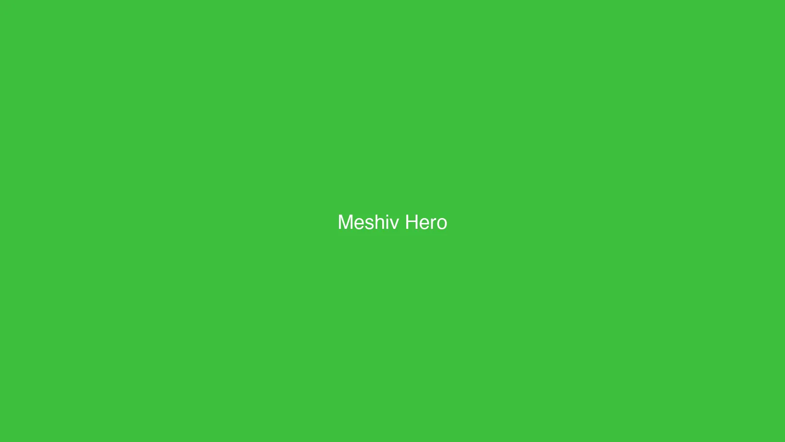 Hero Meshiv