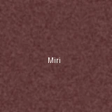 מירי - מנהלת לקוחות