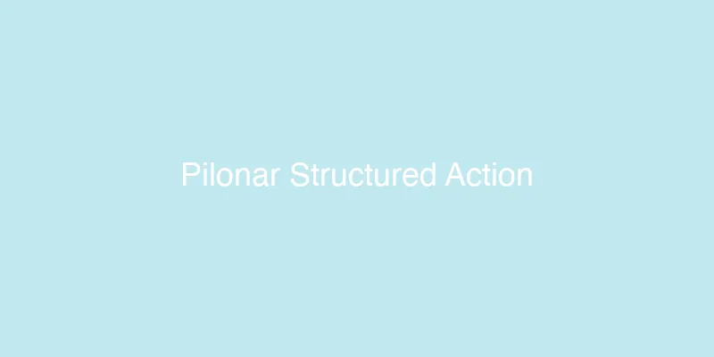 Структура Pilonar